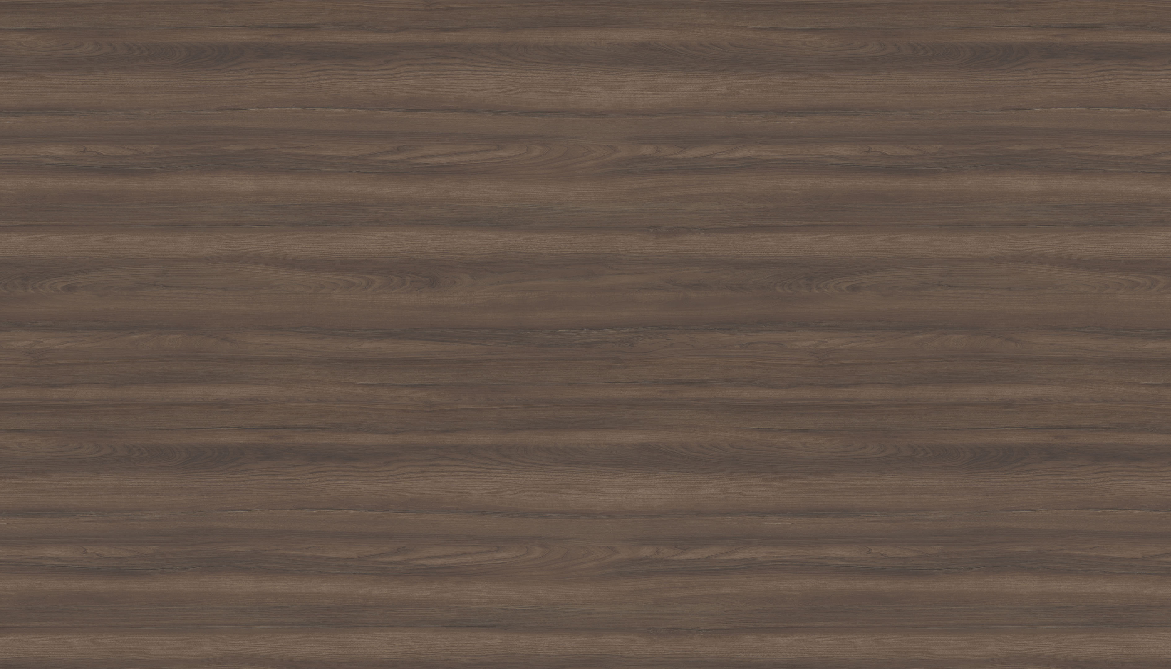 奧里諾科水曲柳